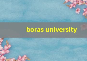 boras university